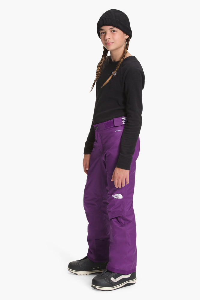 THE NORTH FACE Horizon Tempest Size 8 Purple Gray Lightweight Womens Pants