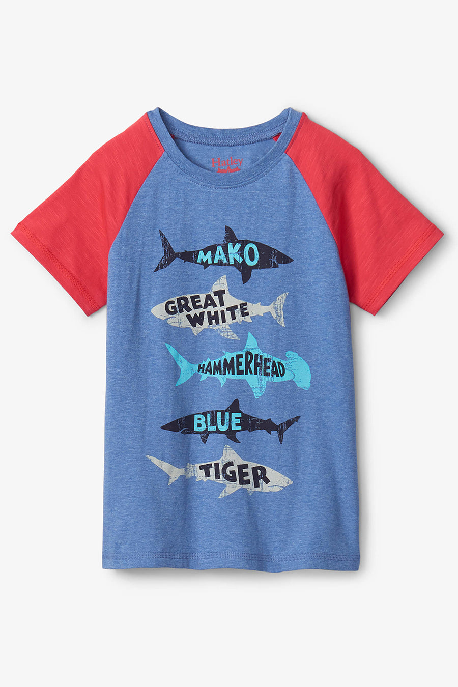 Boys Shirt Hatley Lots Of Sharks
