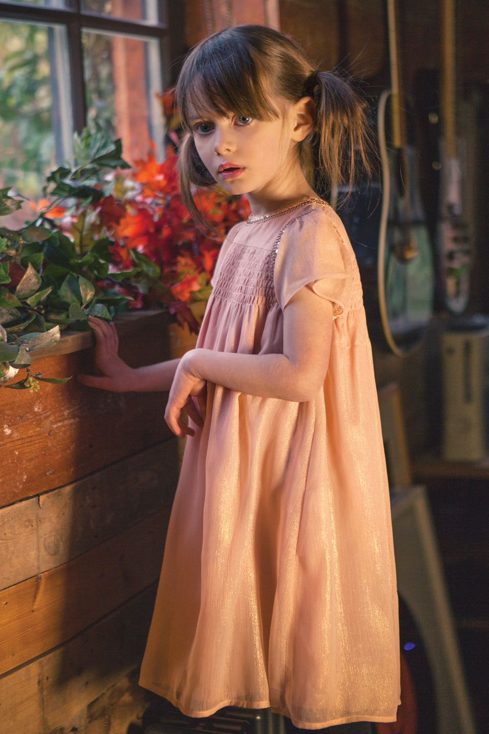 Wild & Gorgeous Nutcracker Dress