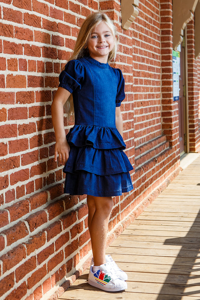 Girls Dress Habitual Kids Drop Waist Ruffle 12 / Dark Stone