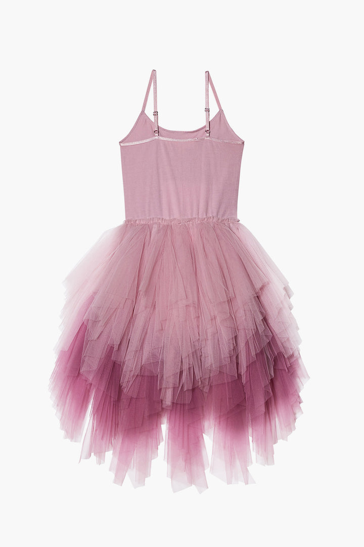 Flower Girls Dress Tutu Du Monde Viola Tutu 