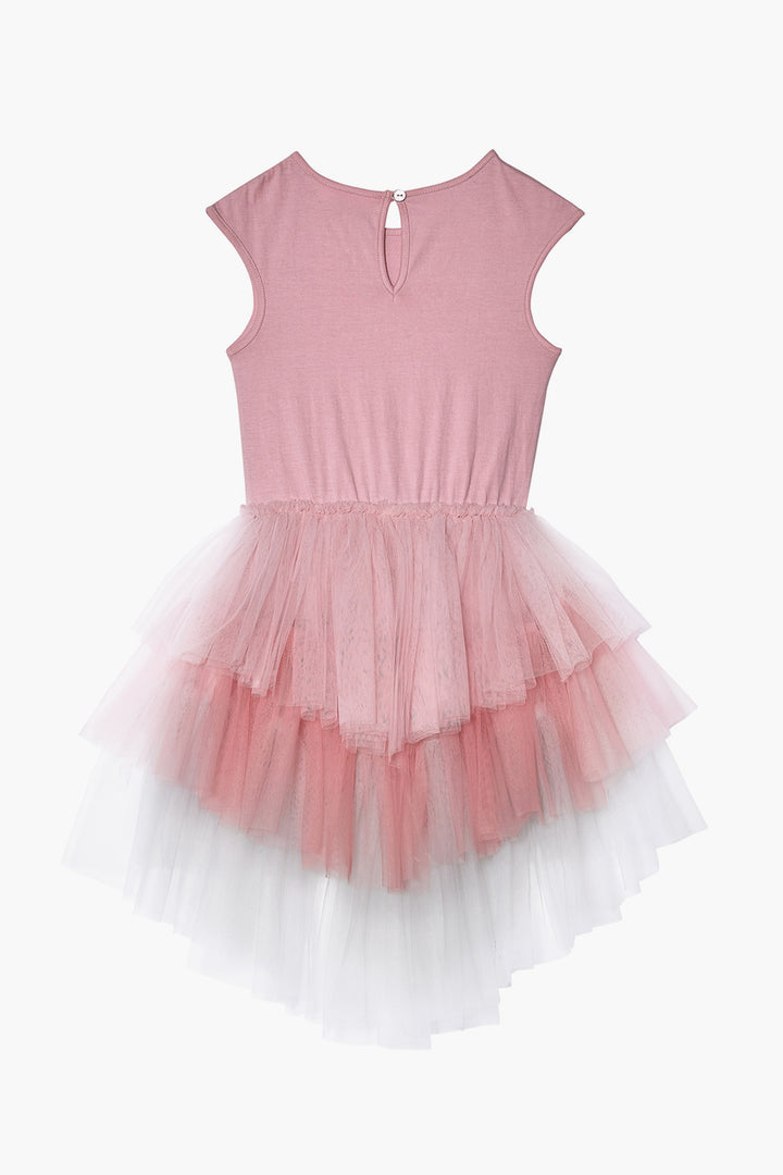 Flower Girls Dress Tutu Du Monde Wild Hearts Tutu 