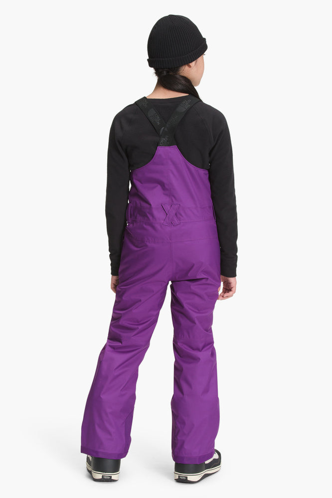 North Face Freedom Insulated Kids Bib Snowpants - Gravity Purple – Mini Ruby