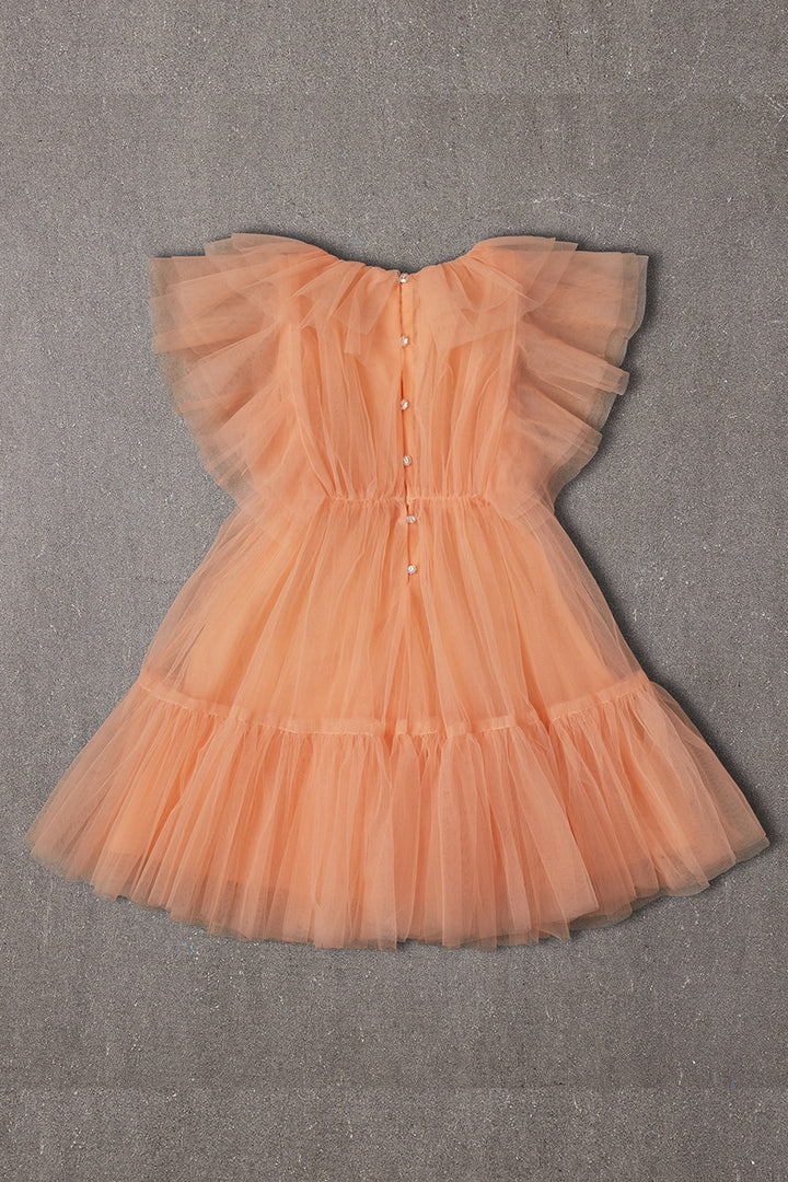 Flower Girls Dress Nellystella Anastasia Baby Peach Soda back