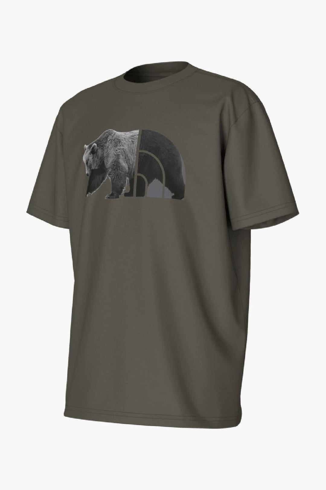 Boys T Shirt North Face Bear T Shirt