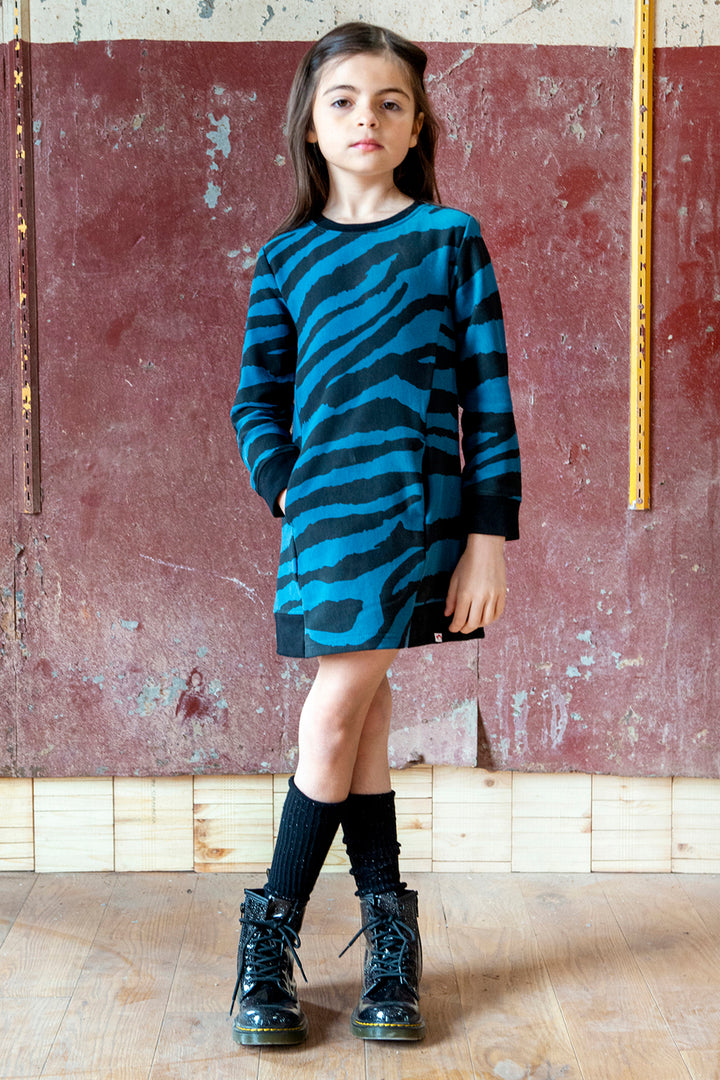 Girls Dress Appaman Camila - Zebra Stripes 