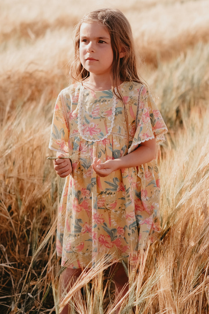 Girls Dress Louise Misha Christina (Size 6 left) – Mini Ruby