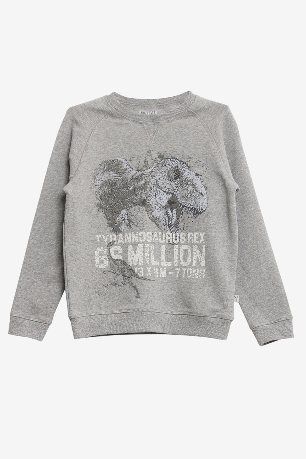 Wheat Dinosaur Sweatshirt