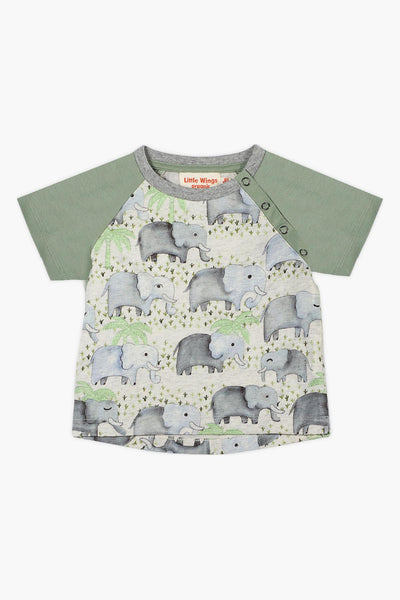 Paper Wings Elephant Raglan Baby Boys T-Shirt