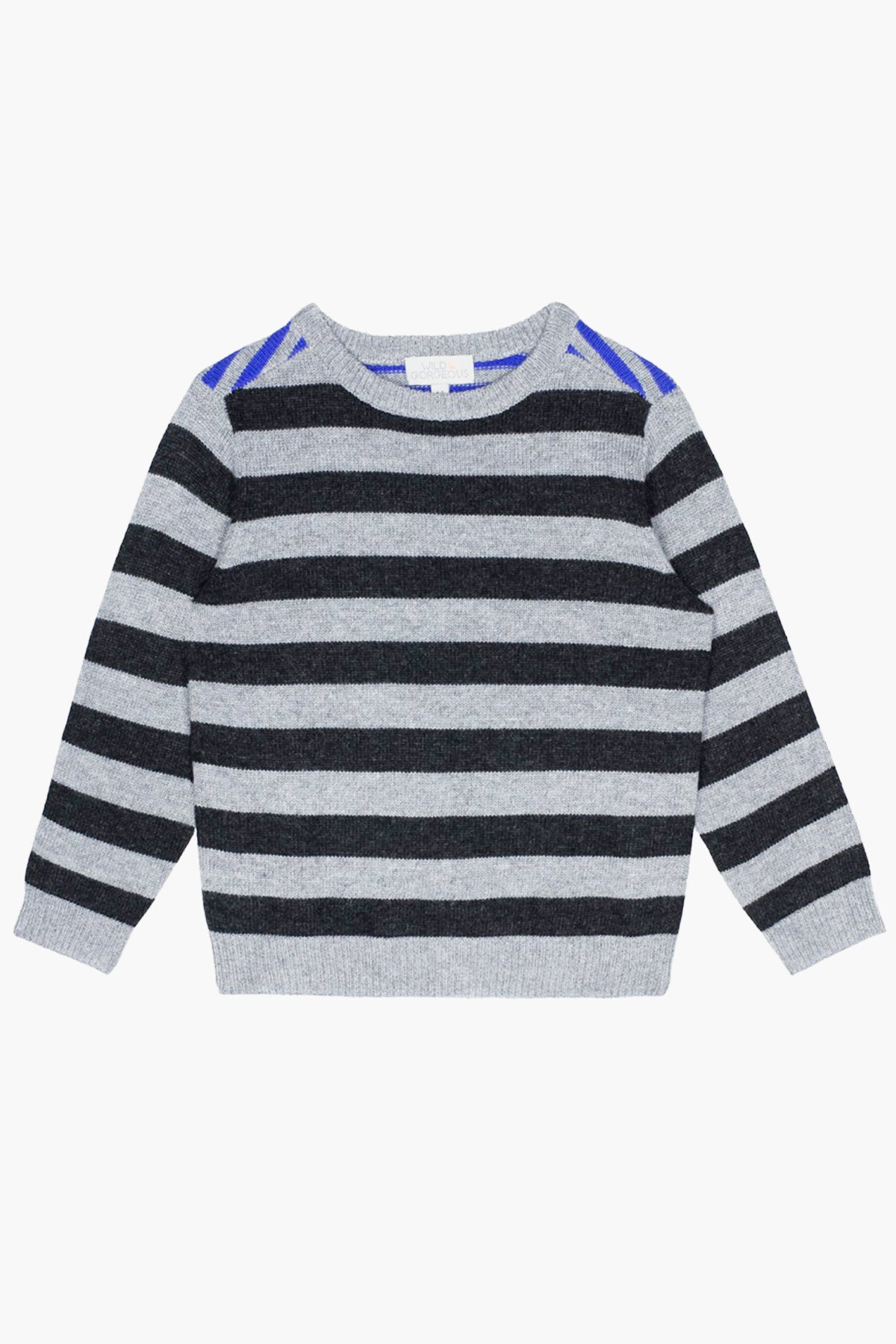 Wild & Gorgeous Hector Boys Sweater – Mini Ruby