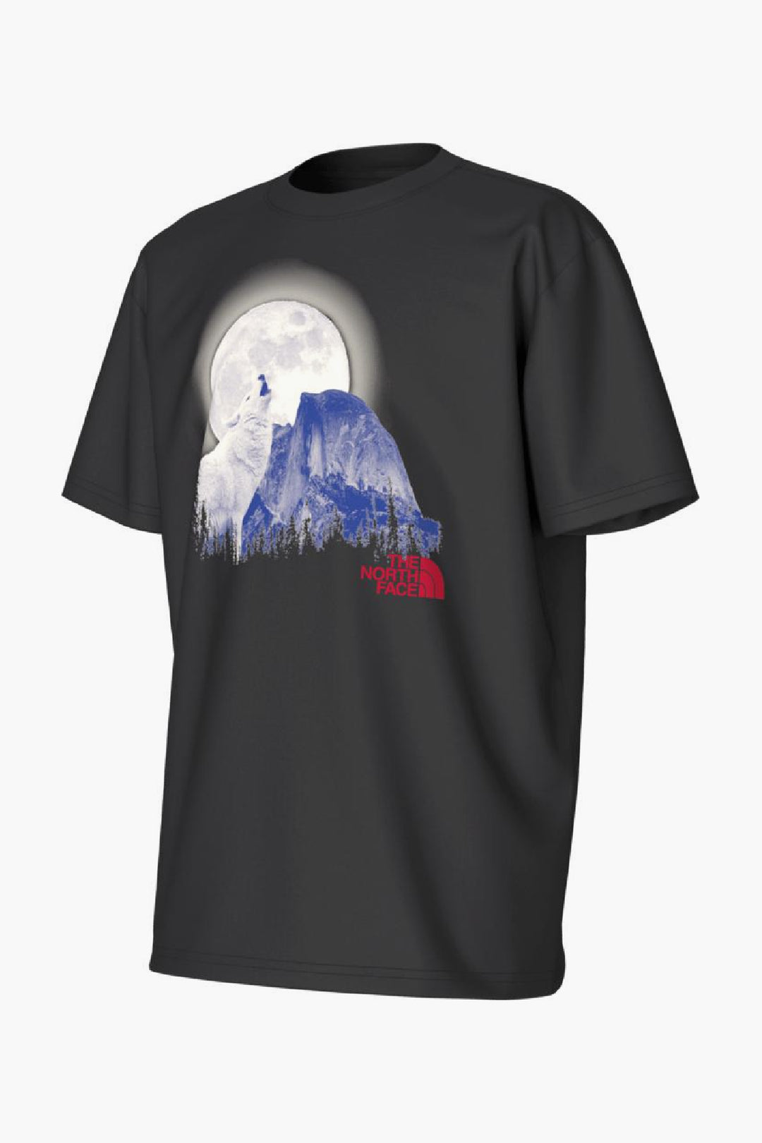 Boys T-Shirt North Face Howling Wolf T-Shirt – Mini Ruby