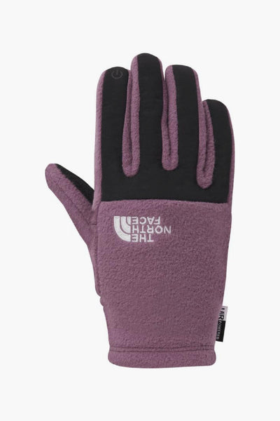 Kids Clothes The North Face Kids Denali Etip Glove - Pikes Purple