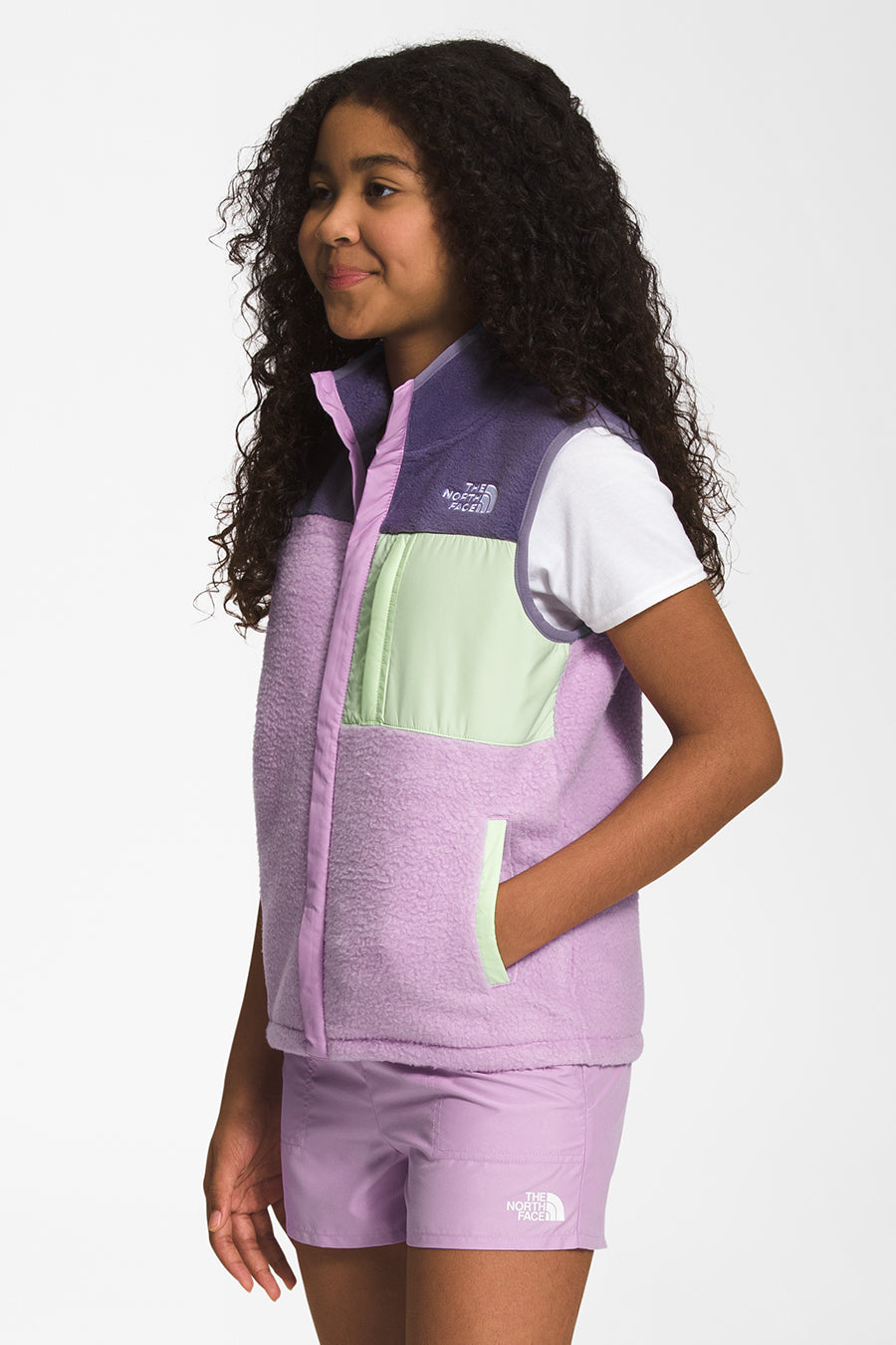 The north face mashup vest hotsell