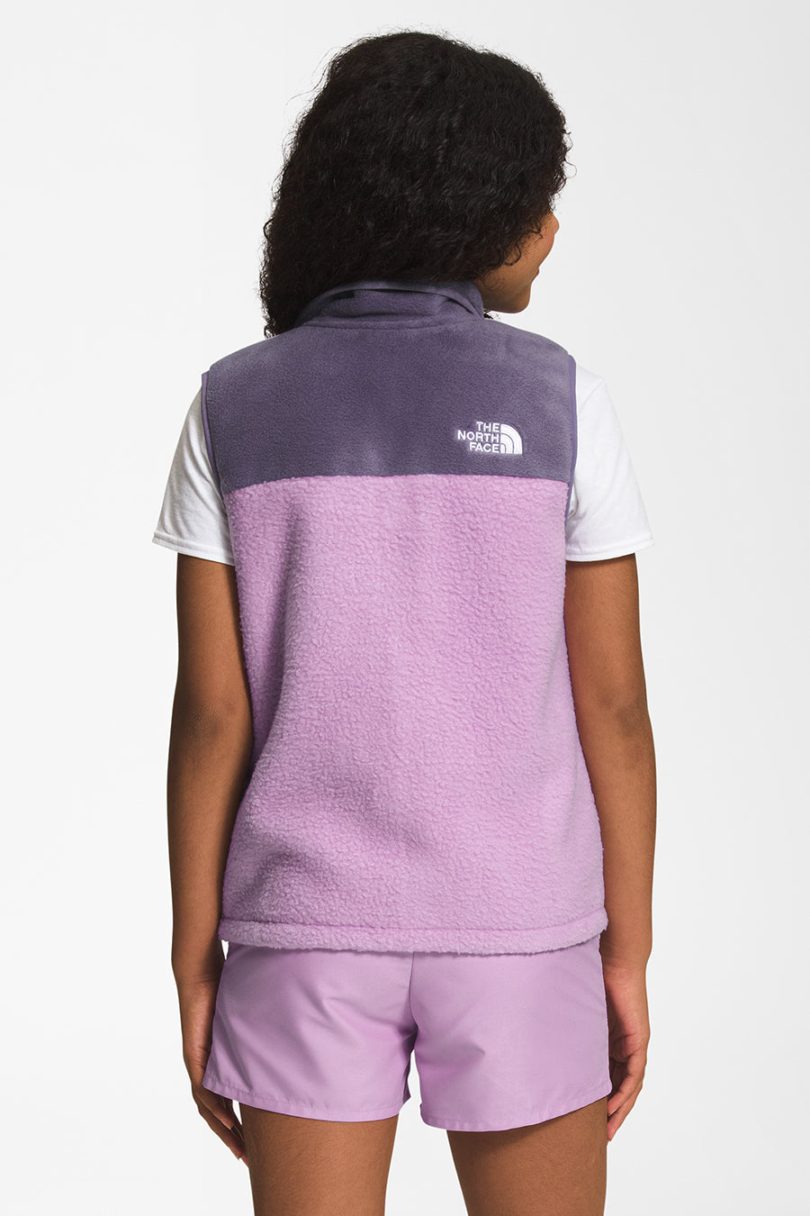 The north face mashup vest cheap