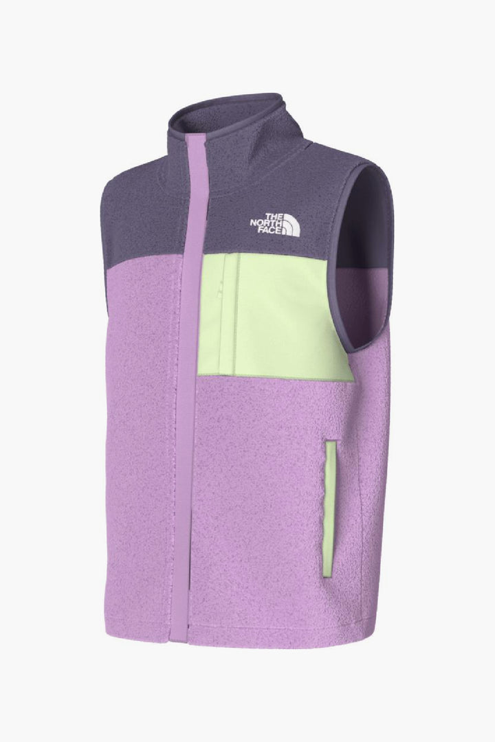 North face mashup vest cheap