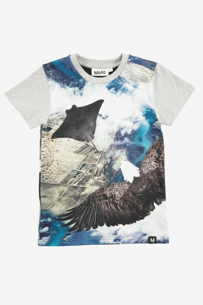 Molo Raven T-Shirt